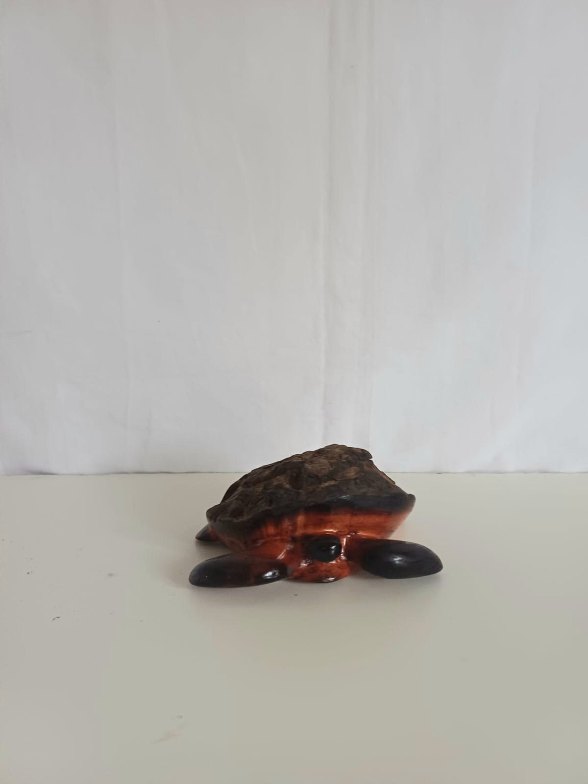 Turtle (002)