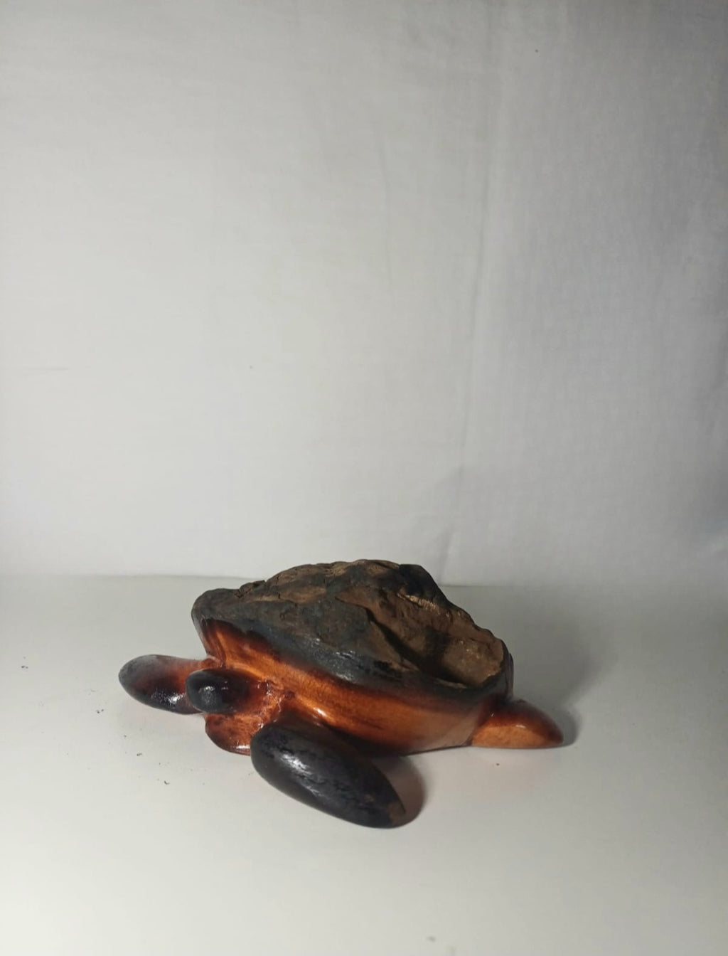 Turtle (002)