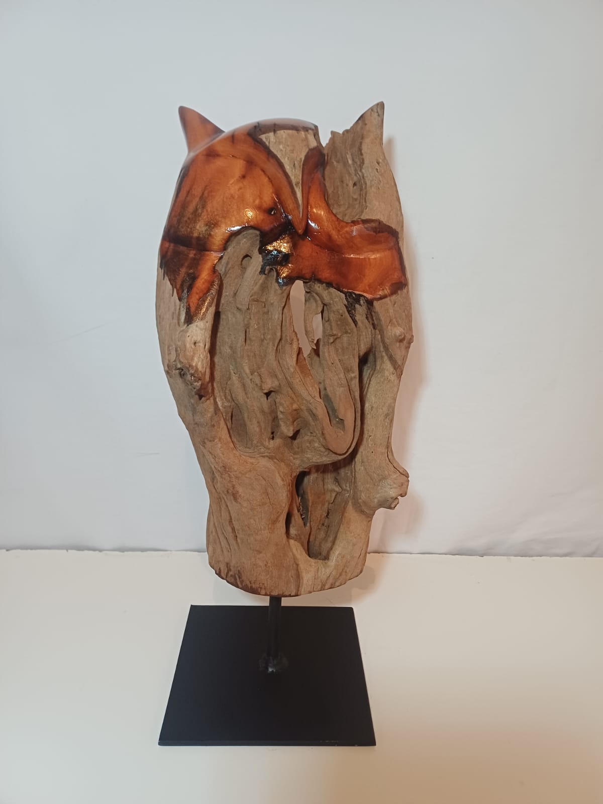 Owl (005)