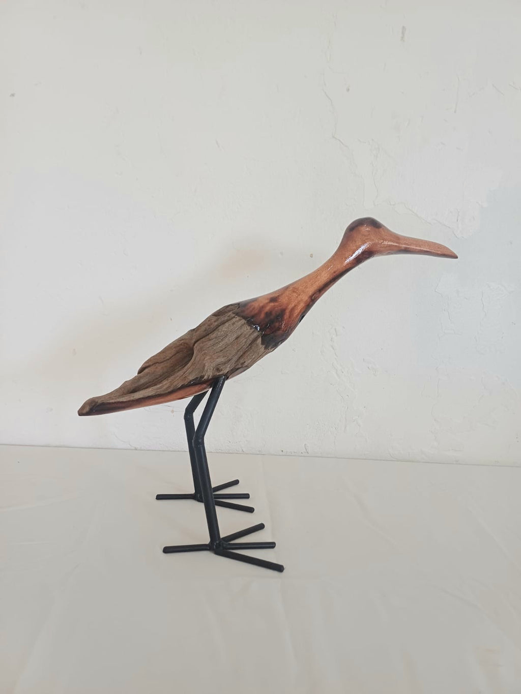 Bird 🐦 (032)