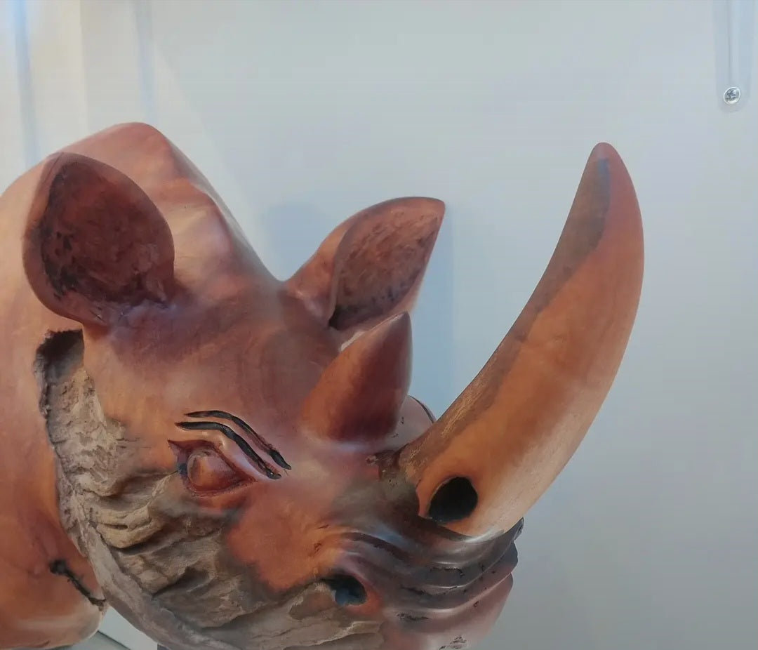 Rhino head (R001)