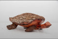 Medium tortoise (T002)