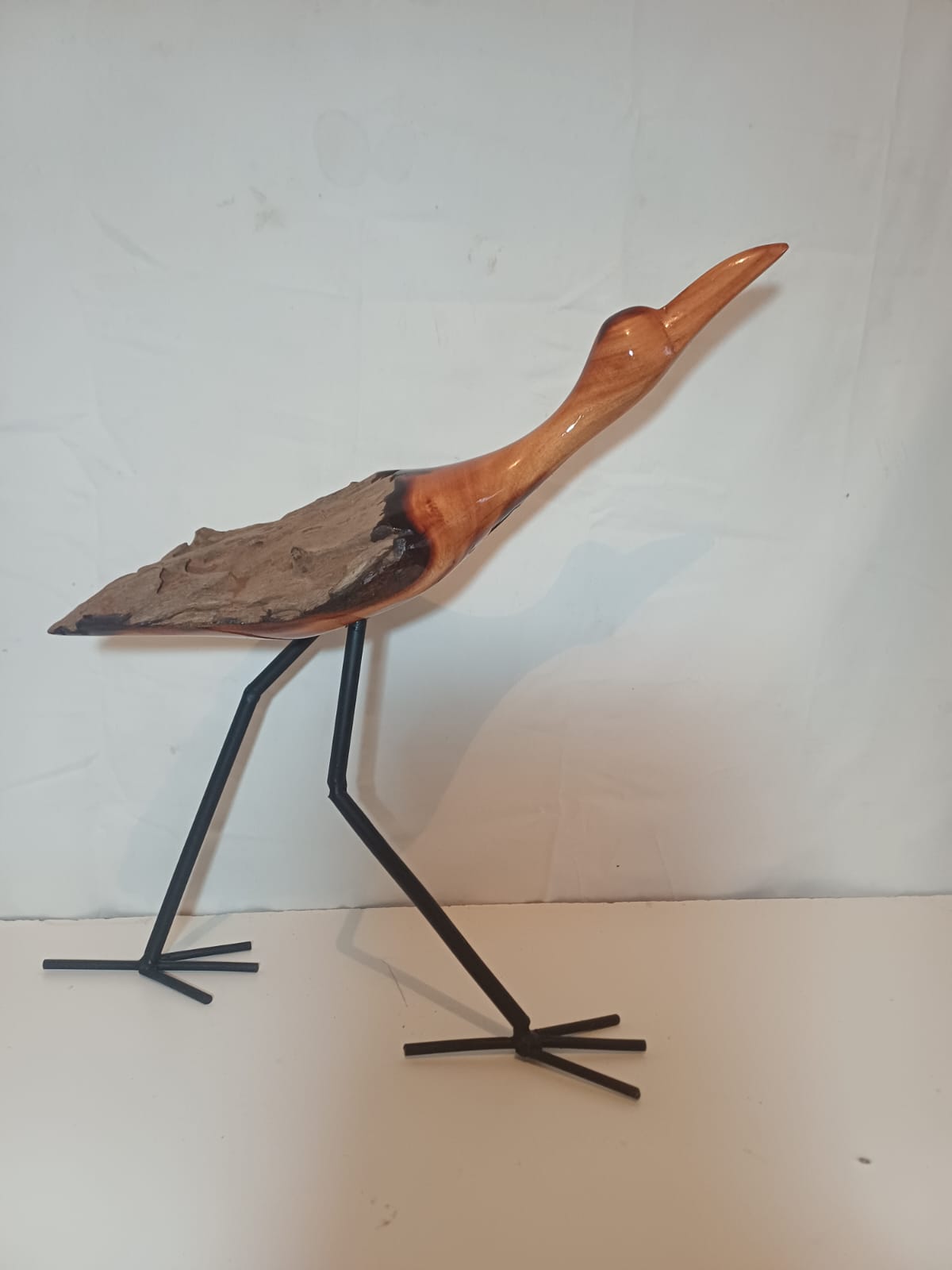 Stock bird. 012