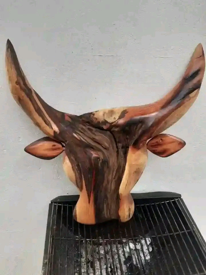 Bull head (BH 01)