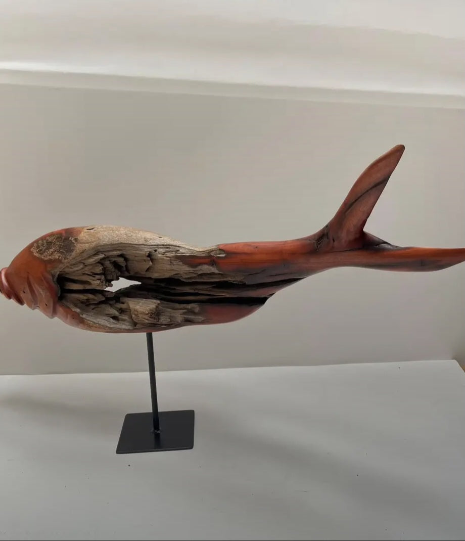 Large fish (F01)