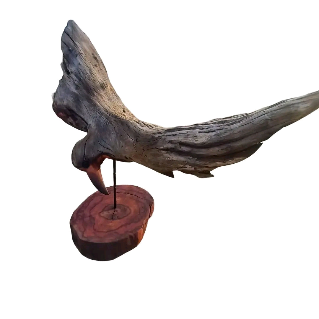 Flying eagle (B007)