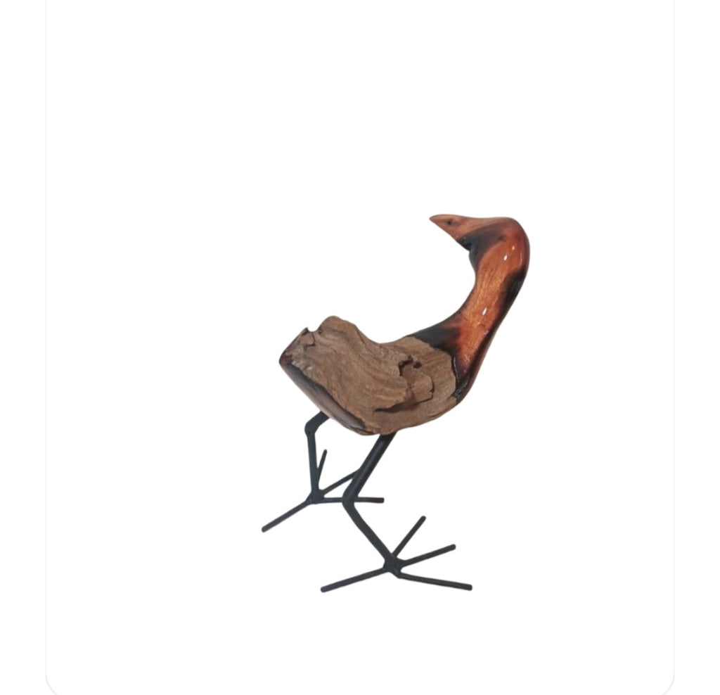 Bird (011)